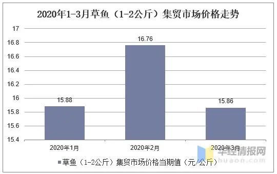 井盖最新走势与市场分析