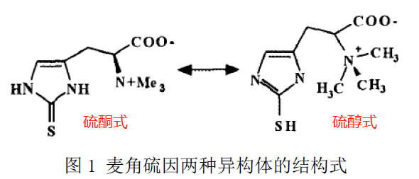 氨基酸类衍生物添加剂最新概览与全面解读