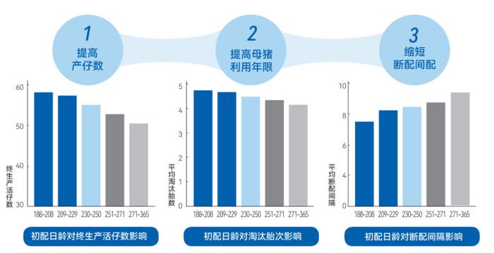 支撑卡柱技术革新与最新发展趋势概览