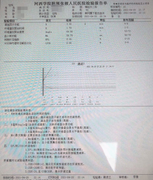 全棉面料最新解读，品质、性能与应用的全面探讨