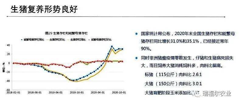 传动轴市场趋势全面解读