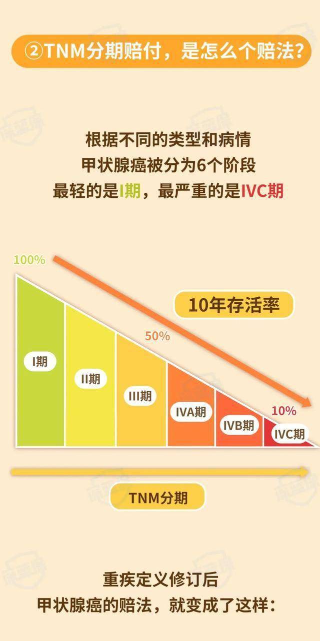 通用营养品最新版本，全面解读其重要性及优势