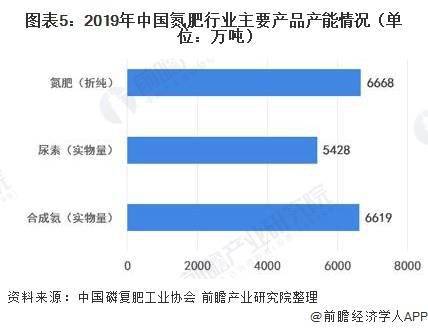 氮肥最新发展动态与趋势分析