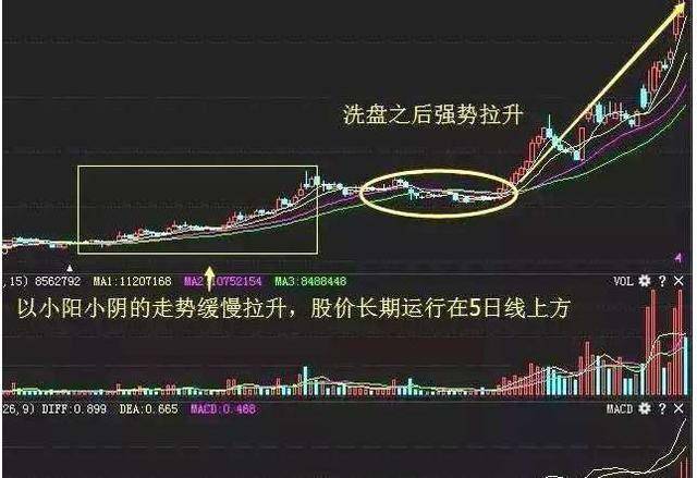 羊眼螺钉最新信息概览与全面解读市场趋势,现状分析说明_安卓版83.27.21