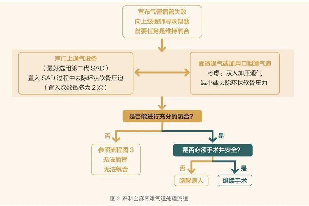 通讯产品加工最新体验，深入探究与感悟分享,可靠操作策略方案_Max31.44.82