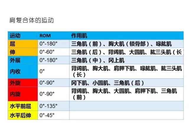 腰带全面解析，种类、功能、选购与使用指南,精细评估解析_2D41.11.32