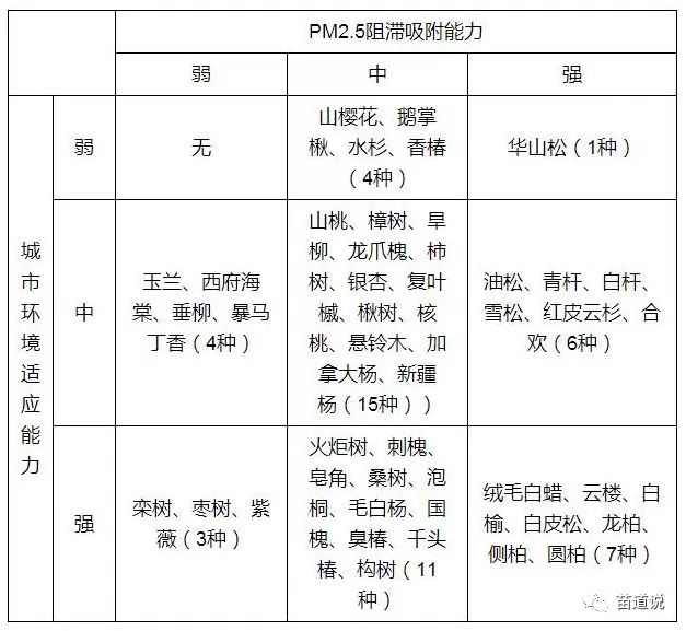 绿化苗木最新策略与真实体验