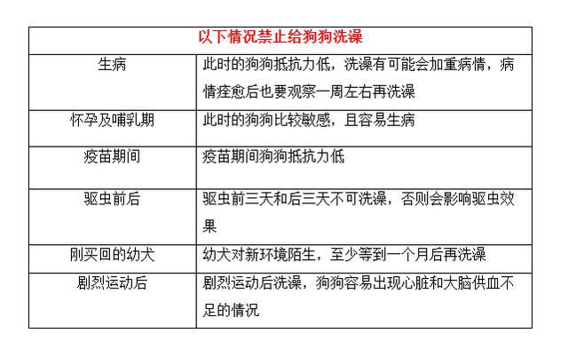 宠物除异味香水最新信息概览与全面解读市场趋势